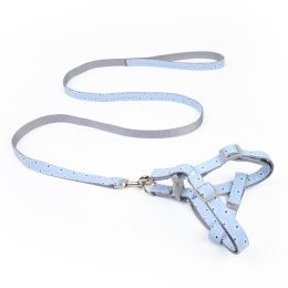 Walking The Dog With Traction Rope On  Chest And Back (Option: Sky Blue-1.5cm)