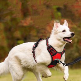 Pet Traction Rope Chest Strap (Option: Red-2XL)