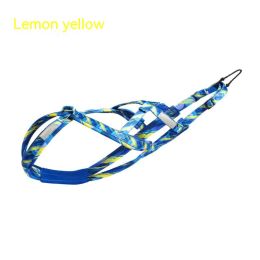 Dog Sled Chest Strap Hand Holding Rope (Option: Blue-M Code)