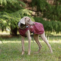 Pet Pu Raincoat Clothes Medium And Large Portable Universal (Option: Wine Red-M)