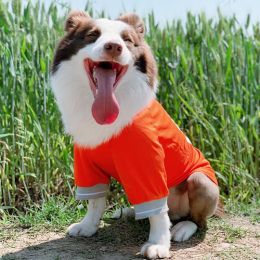 Summer Dog Thin Pet Clothing Vest (Option: 23Orange-7XL)