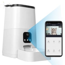 Intelligent Timed And Quantitative Fully Automatic Pet Feeder (Option: White-Button version-UK)