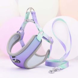 Pet Clothes Hand Holding Rope Out Dog Chest Strap (Option: Light Purple Green-XL)